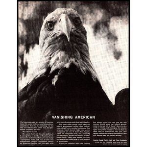 1963 Electric Light and Power Company Bald Eagle Vintage Print Ad Wall Art Photo